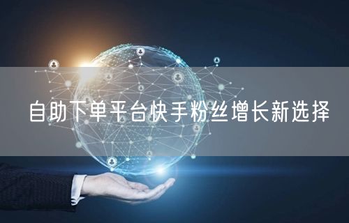 自助下单平台快手粉丝增长新选择